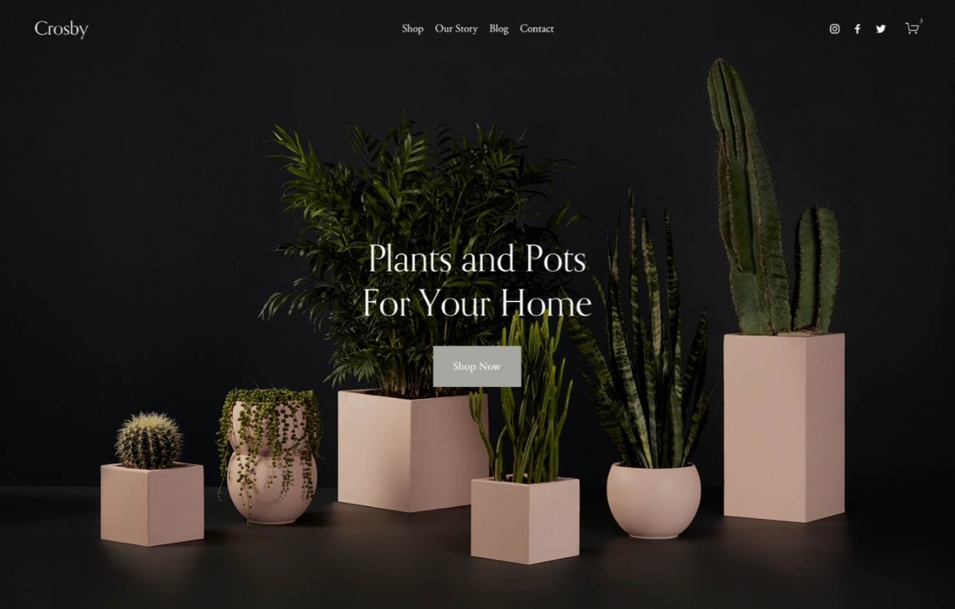 Squarespace eCommerce Templates -  Cartoon of Crosby Template