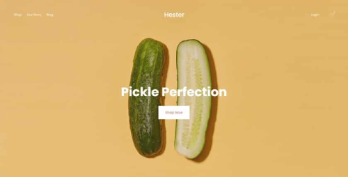 Squarespace Newsletter Templates - Hester