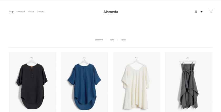 Best Squarespace Template for Mobile - Cartoon of Alameda Template