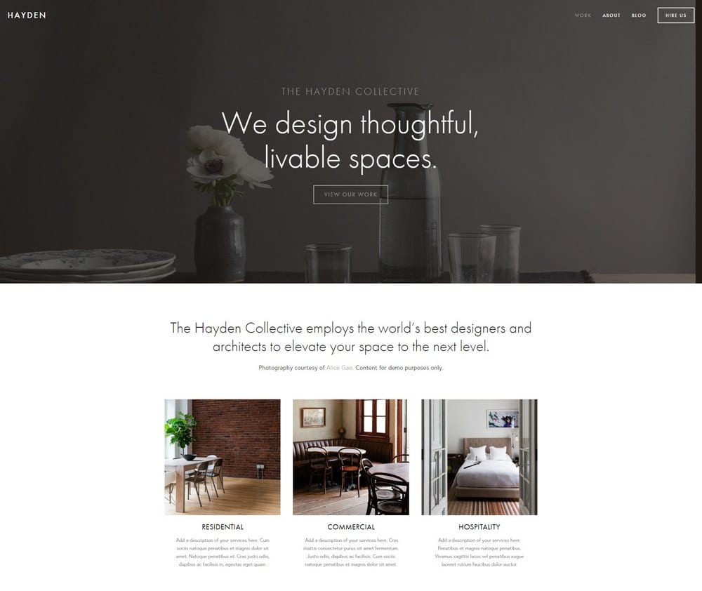 Best Squarespace Templates for Painters-Cartoon of Hayden Template
