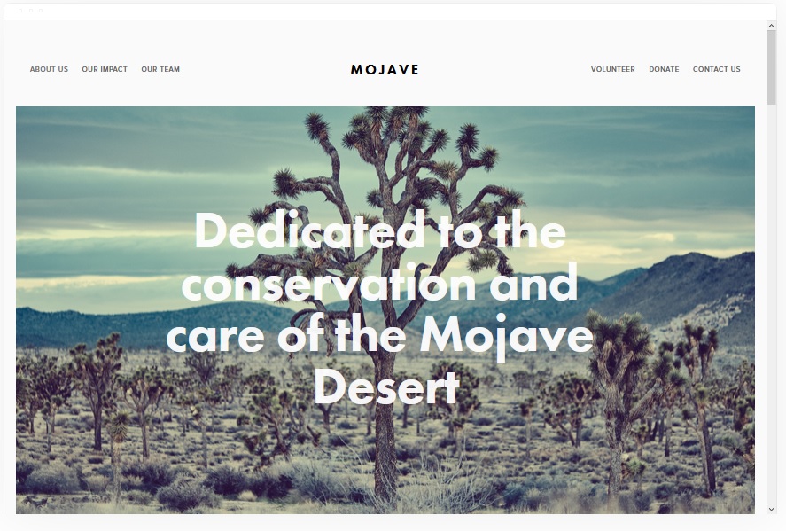 Interactive Squarespace Templates- Cartoon of Mojave Template