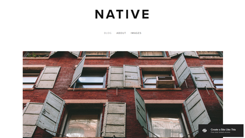 Squarespace Template for a Personal Website -  Cartoon of Native Template